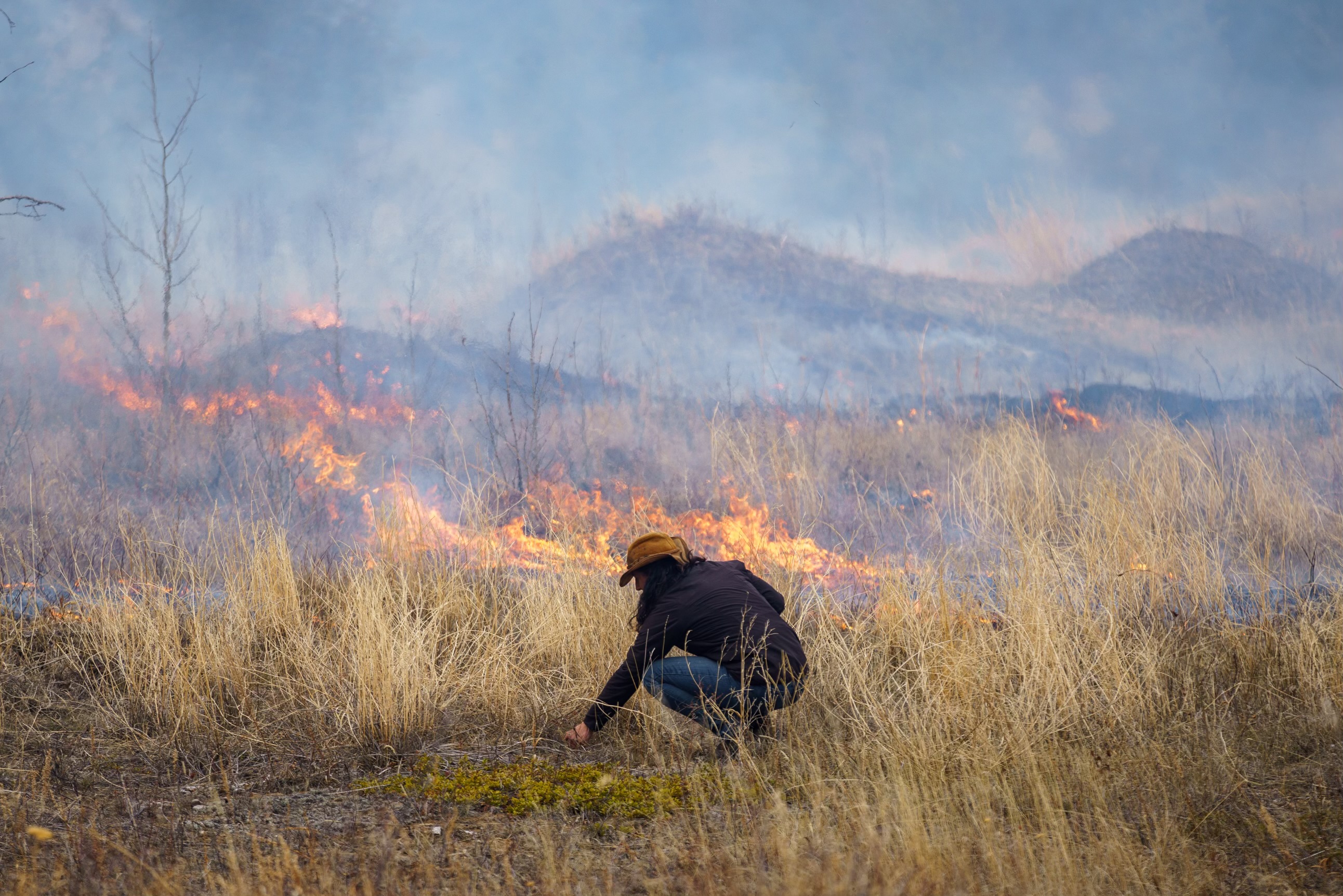 Jonaki working on cultural burning with Yunesit'in, April 2023. 