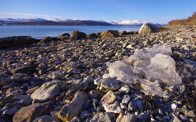 Plastic Bag on rocky beach