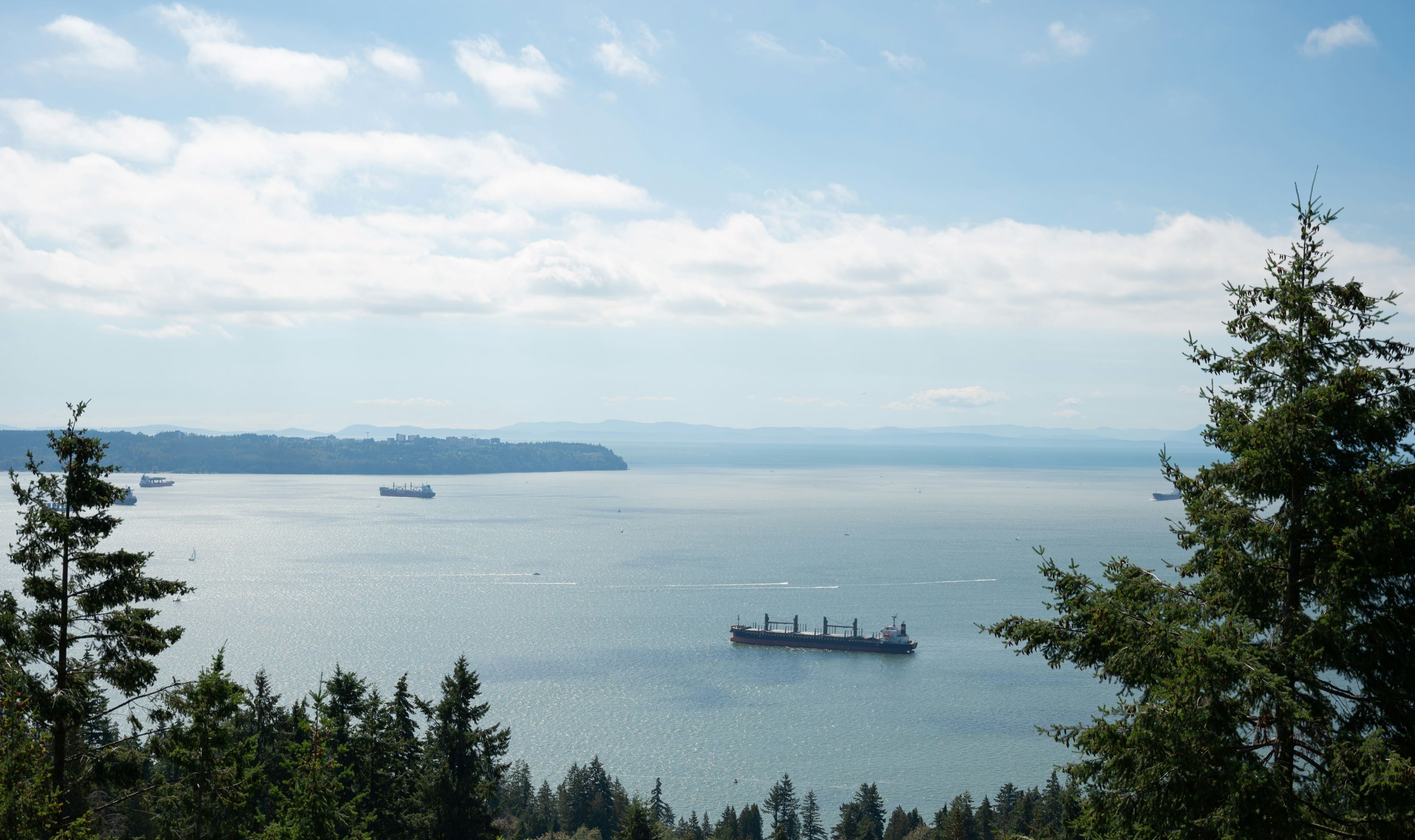 Shipping vessels in the ocean with trees in foreground