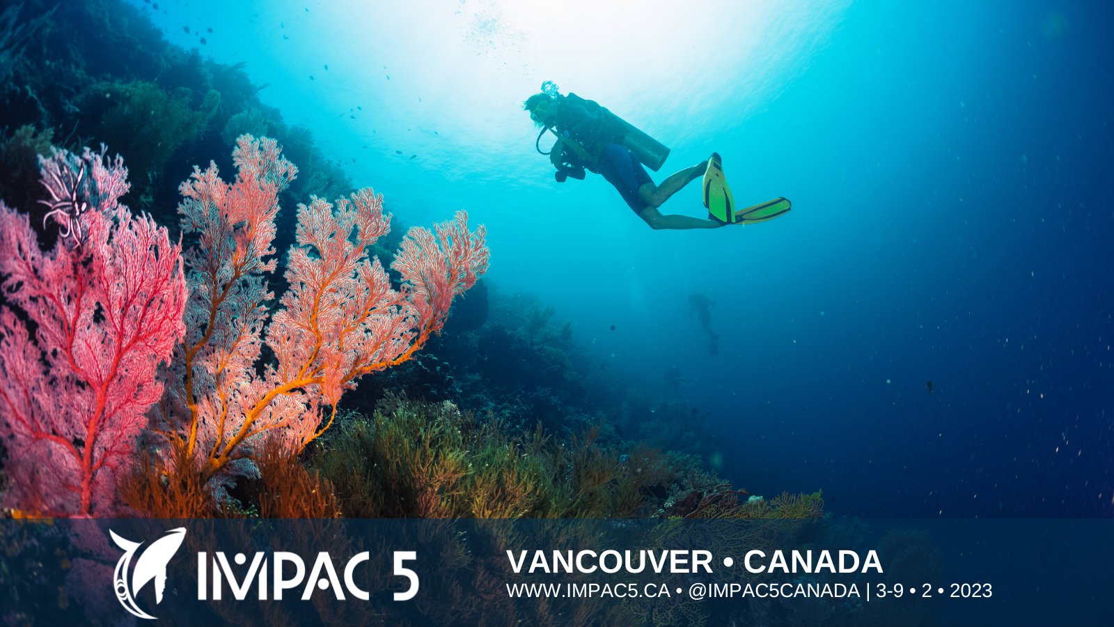 Diver approaching a colourful underwater coral reef