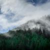 Clouds rolling over a forested hillside